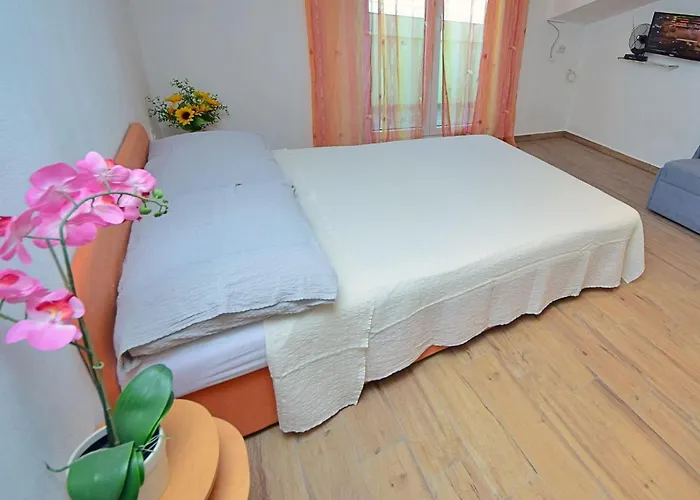 Saric-1 By Interhome * 트로기르